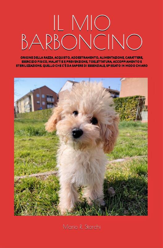 Il mio barboncino